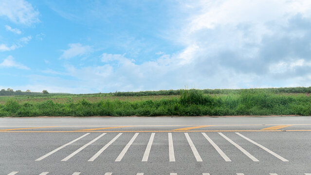 Horizontal or landscape view of asphalt road featuring white chevron pavement markings.Speed ​​bump lines. On the wet road surface in the side lane. Alongside green grass under a cloudy blue sky.