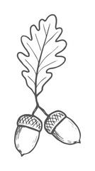 Minimalist black and white oak leaf and acorns © Mehedi