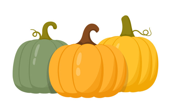 Three stylized gourds in a cozy autumn arrangement, symbolizing harvest abundance and seasonal celebration