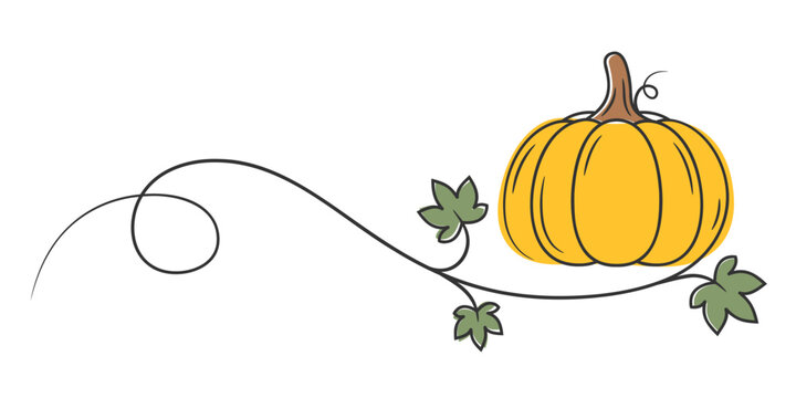 Autumn pumpkin vine line art illustration. Hand drawn pumpkin, vine or gourd, leaf, foliage, stem. Minimal rustic graphic for harvest, thanksgiving or halloween. Vector illustration