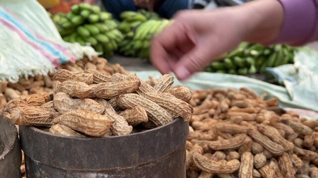 Raw Peanuts in Shell Filled in Traditional Measuring Can at Asian Market
