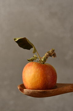 Apple Still Life. A ripe fuji apple on a wooden spoon against a mottled gray background.