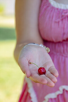 Woman holding freshly picked cherry in open palm