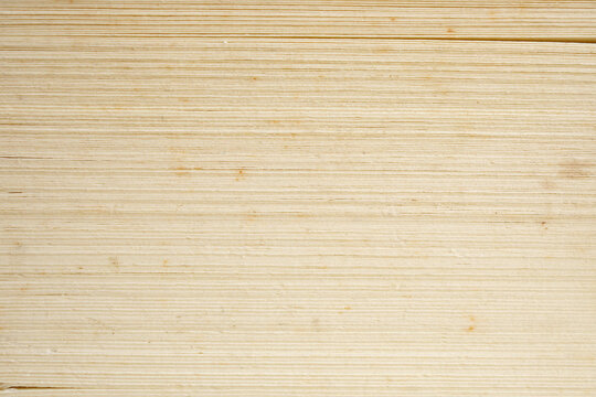 side view of Book page close up texture background