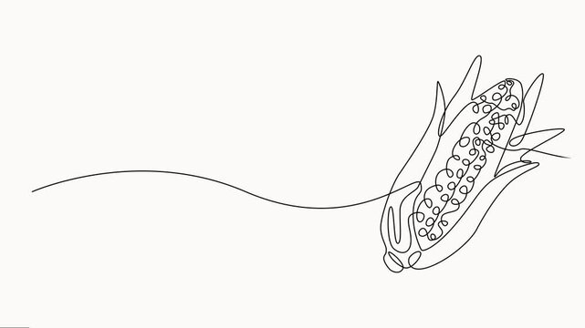 Self drawing line animation corncob Vegetables corn continuous one single line drawn concept, Fresh maize concept starchy vegetable, Full length one line animation on white background.