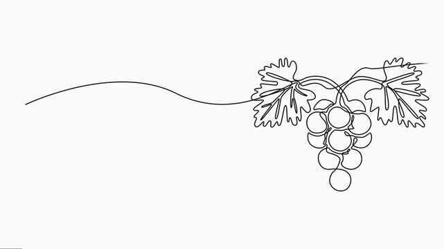 Self drawing line animation healthy organic grapes Fresh tropical fruitage, continuous one single line drawn concept video, Bunch of grapes with leaf, animated self drawing of single continuous line.
