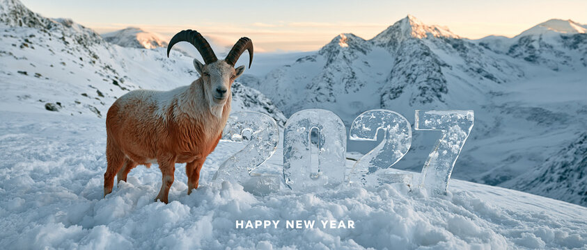 Mountain Goat Standing on Snow with 2027 Year Text in Winter Alps