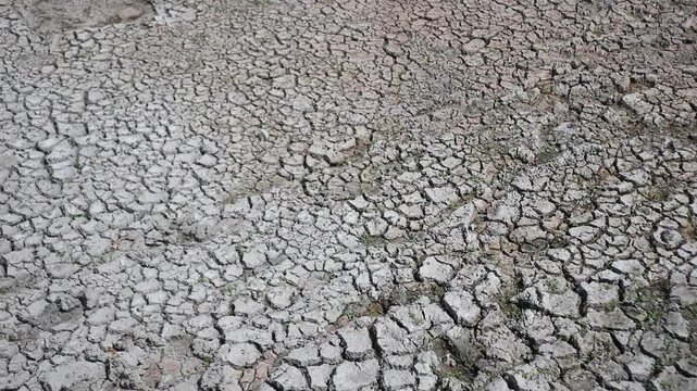 Tanah kering dan retak akibat kekeringan berkepanjangan