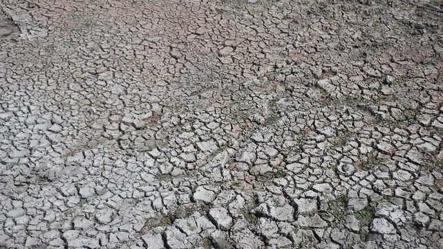 Tanah kering dan retak akibat kekeringan berkepanjangan
