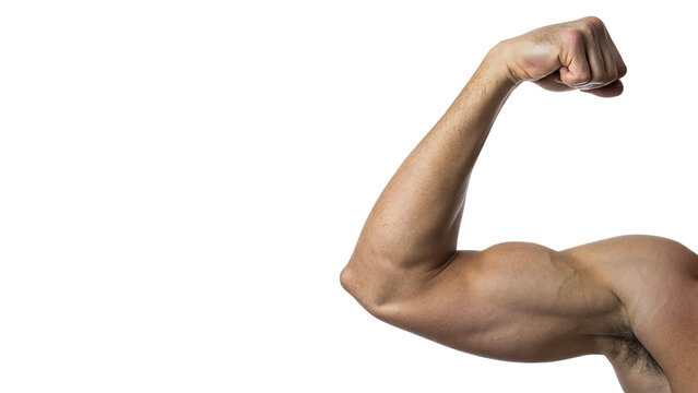 Strong muscular male bicep arm flexing power fitness isolated on transparent background