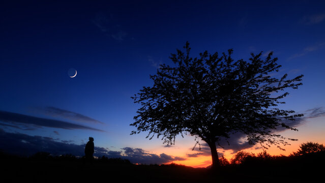 Silhouette of a person in nature observing night sky, Moon, stars and planets from a remote location.