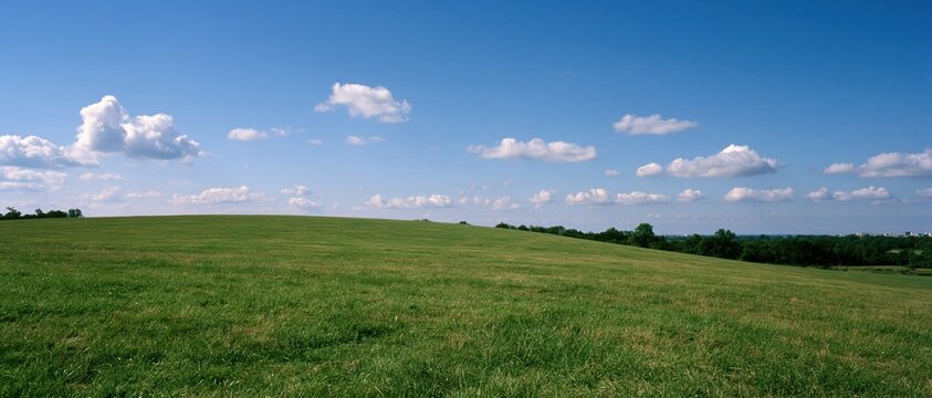 The Expansive Grass Field Under a Bright Blue Sky Over Rolling Hills
