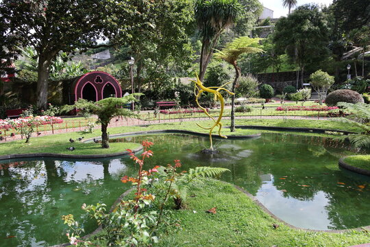 The Duke of Terceira Garden, Angra do Heroismo, Terceira, Azores, Portuga 