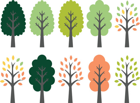 Modern Stylized Trees Set for Spring Summer and Autumn Designs