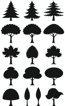 Tree Silhouettes Vector Set Oak Pine Deciduous Forest Trees Clipart Icons