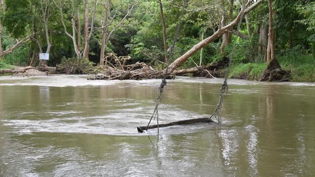 Destructive flash flood carrying trees and debris away in its powerful rush through river.A mountain river after heavy rain, showing the environmental effects of deforestation and global warming.