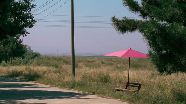 Lone pink umbrella and bench offer shade in a sun-drenched grassy field with a distant view