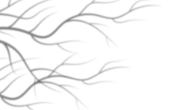 Minimalist Autumn Tree Branch Shadow Overlay on White Background for Equinox.