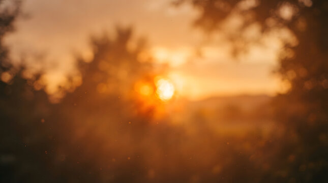Golden sunset shining through trees with blurred forest background and warm sun flare, natural sun flare shining through tree branches during golden hour sunset