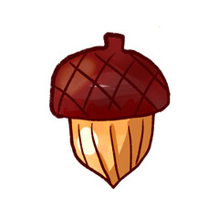 acorn cartoon style illustration fall autumn season © Ceaulie