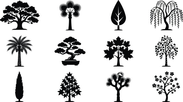Botanical tree silhouettes and nature landscape vector icon set featuring oak palm willow bonsai maple cypress joshua and blooming cherry blossom trees