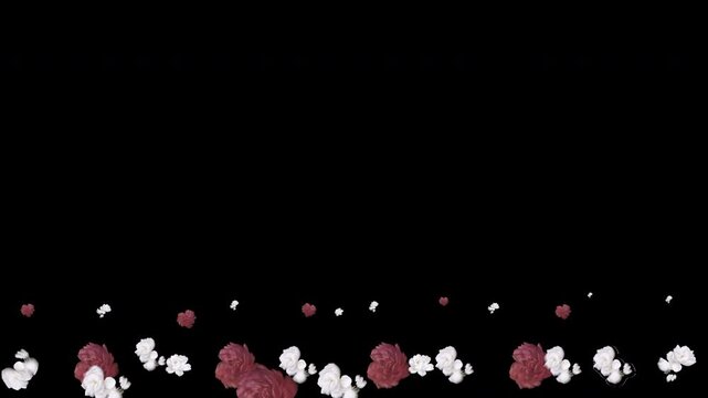 Abstract Floral Background Featuring Burgundy and White Rose Petals Falling on Black.