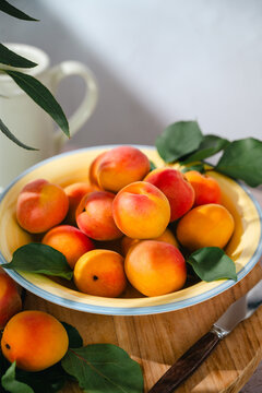 Fresh ripe apricots in yellow bowl in sunlight, copy space