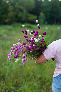 Woman holding a large bouquet of globe amaranth flowers