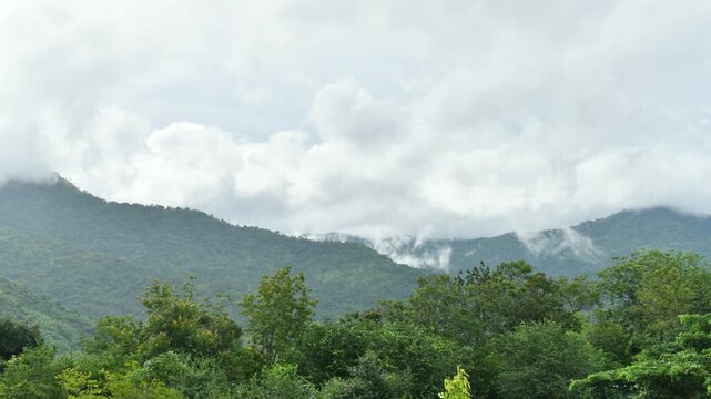 Dramatic cloud timelapse with dense white fog and mist rolling over a lush green mountain forest. Time-lapse footage.