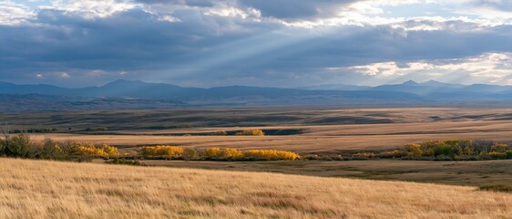 Obraz premium The Golden Prairie Under Dramatic Sky with Sunbeams and Distant Mountains