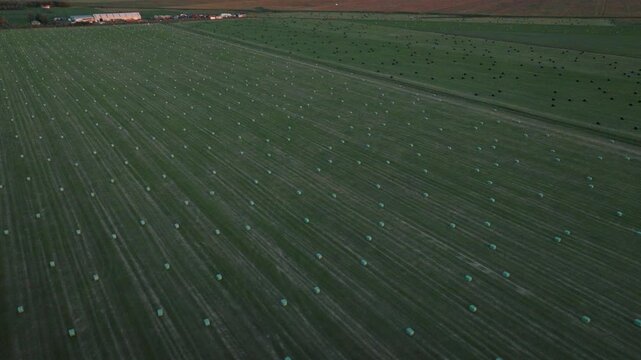 Aerial Rows of Hay Bales Across Green Field, Iceland