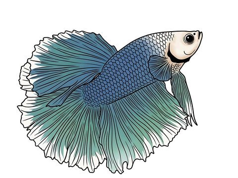 vector illustration of a fish
