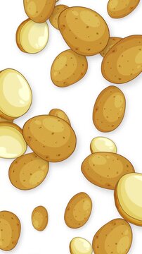 Vertical Animation of Whole and Sliced Potatoes Falling on White Background