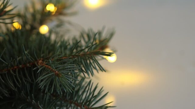 Christmas tree background with lights