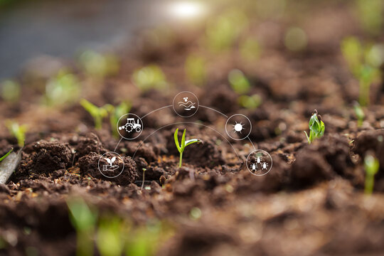 Smart Farming: Seedling Growth and AgTech Connectivity