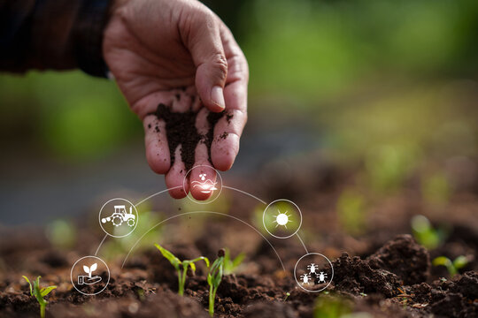 Smart Farming: Hand Sprinkling Compost over Seedlings with AgTech Icons