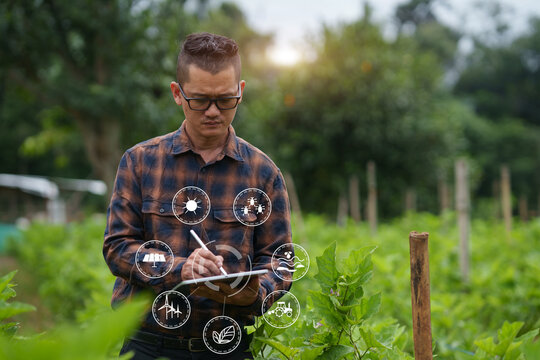 Smart Farmer Using Digital Tablet with Agricultural Technology Icons in Modern Farming Field