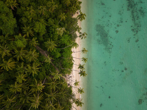 Aerial View of Tropical Bay Framed by Palm Trees Ko Samui