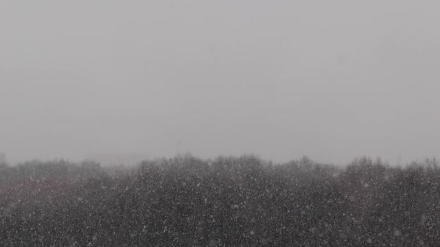 Heavy snow blankets the trees and hills, creating a serene winter scene. The gentle fall of flakes brings a peaceful ambiance, perfect for cozy moments indoors.