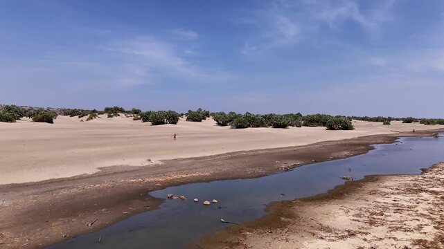 Aerial drone shot slowly moving into a vast, Turkana lake landscape with a muddy stream, scattered doum palms, and a lone figure walking across the sandy plain under a blue sky.