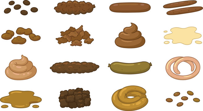 Bristol Stool Chart Types Collection and Digestive Health Medical Infographic Feces Vector Illustration Set