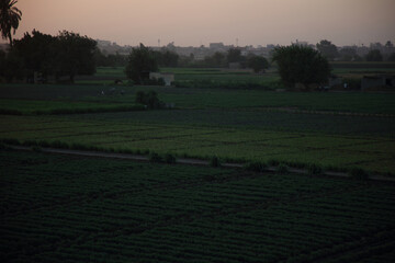 Sunset on the Green Land © Fady