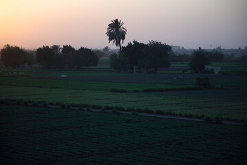 Sunset on the Green Land © Fady