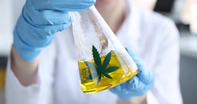 In a bright laboratory, a scientist in a white lab coat holds a flask filled with golden liquid and a green cannabis leaf. The atmosphere buzzes with curiosity and innovation.