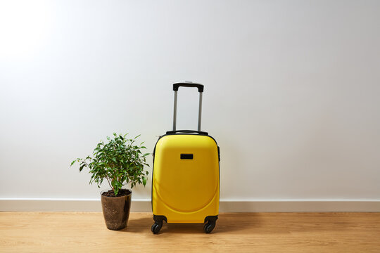 Yellow suitcase and green potted plant on wooden floor against white wall