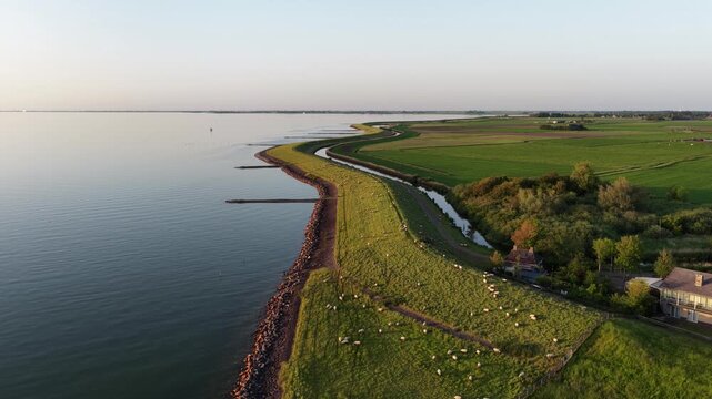 Aerial view of dutch dike with sheep grazing at sunset