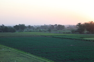 Sunset, Green Land and Houses © Fady