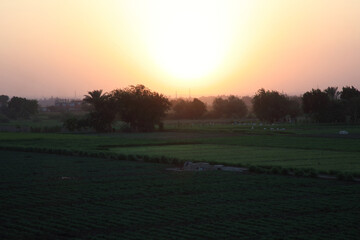 Sunset, Green Land and Houses © Fady