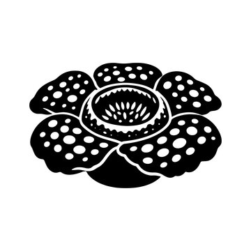 Rafflesia arnoldii silhouette on a white background a rare parasitic flower illustration