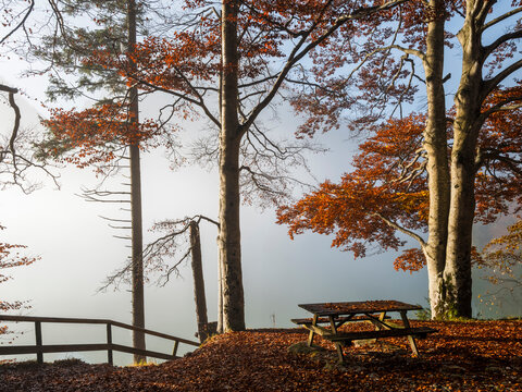 Autumn forest landscape featuring a wooden picnic table overlooking a misty lake, perfect for tourism and outdoor nature exploration in the Julian Alps, Predil lake, Tarvisio, Friuli, Italy.